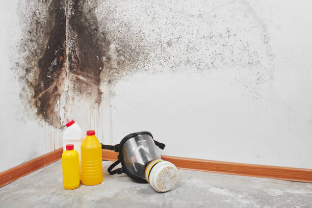 Crawl Space Mold Removal in Inglenook, CT