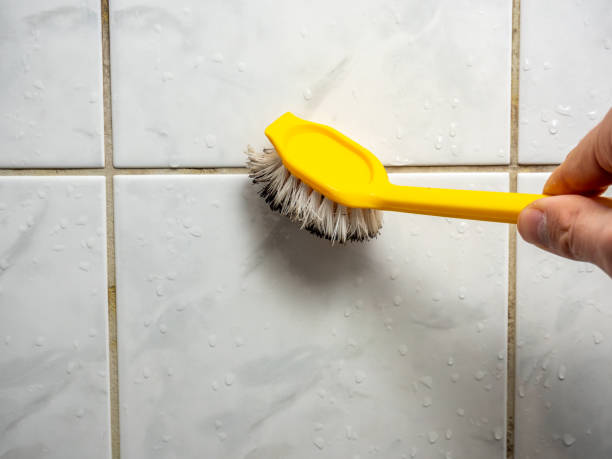 Best Mold Remediation  in Inglenook, CT