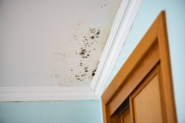 Water Damage Restoration in Inglenook, CT