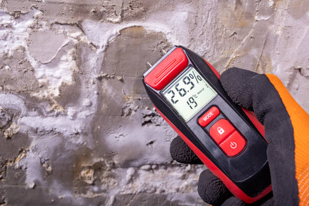 Best Toxic Mold Removal  in Inglenook, CT